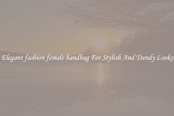 Elegant fashion female handbag For Stylish And Trendy Looks