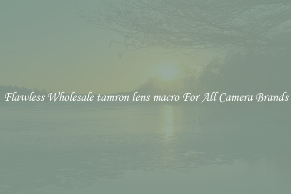 Flawless Wholesale tamron lens macro For All Camera Brands