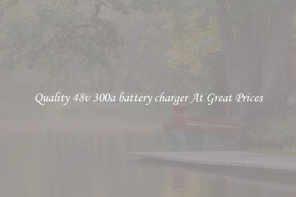 Quality 48v 300a battery charger At Great Prices