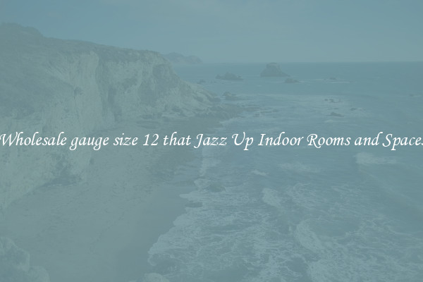 Wholesale gauge size 12 that Jazz Up Indoor Rooms and Spaces