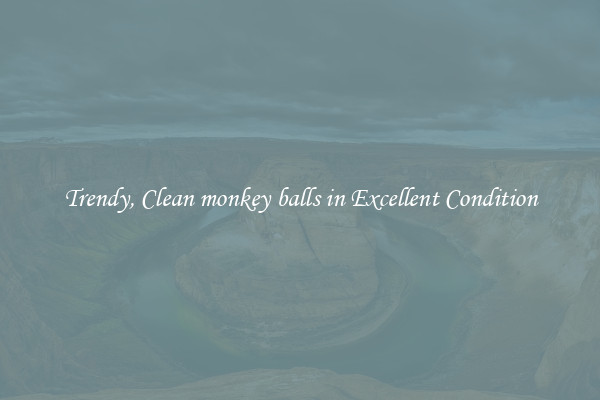 Trendy, Clean monkey balls in Excellent Condition