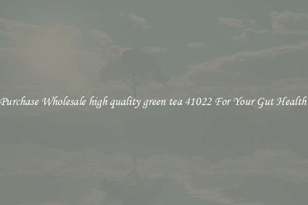 Purchase Wholesale high quality green tea 41022 For Your Gut Health 