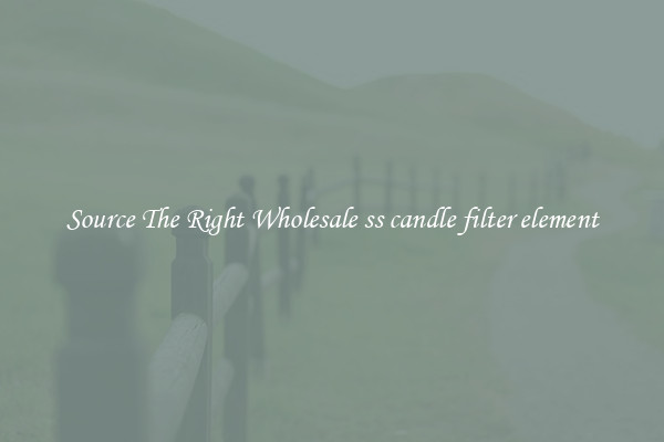 Source The Right Wholesale ss candle filter element