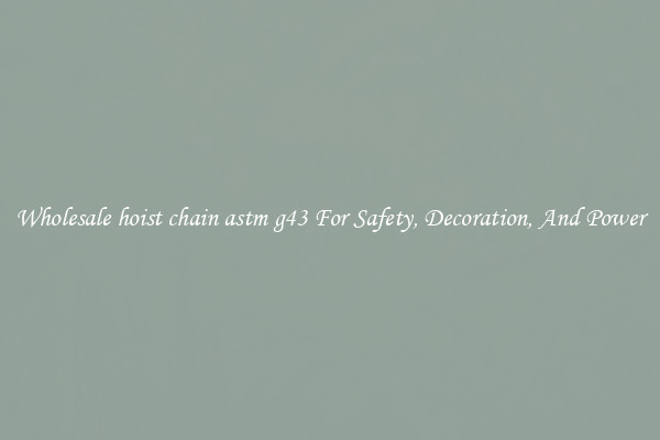 Wholesale hoist chain astm g43 For Safety, Decoration, And Power