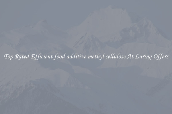 Top Rated Efficient food additive methyl cellulose At Luring Offers