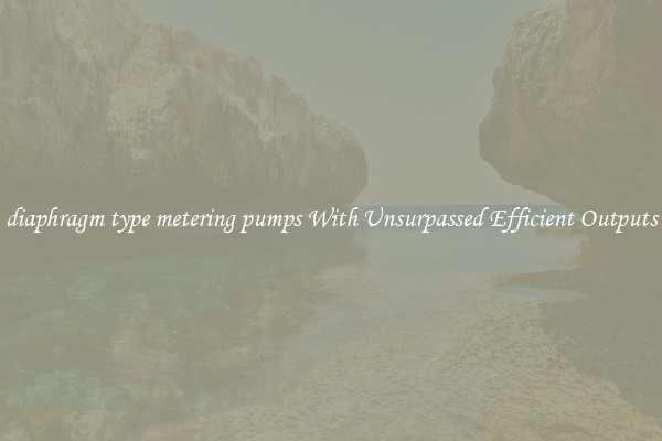 diaphragm type metering pumps With Unsurpassed Efficient Outputs