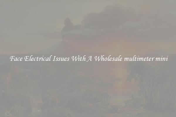 Face Electrical Issues With A Wholesale multimeter mini