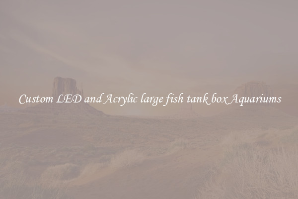 Custom LED and Acrylic large fish tank box Aquariums