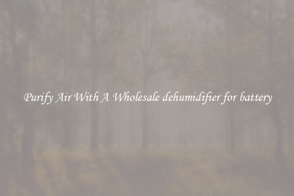 Purify Air With A Wholesale dehumidifier for battery