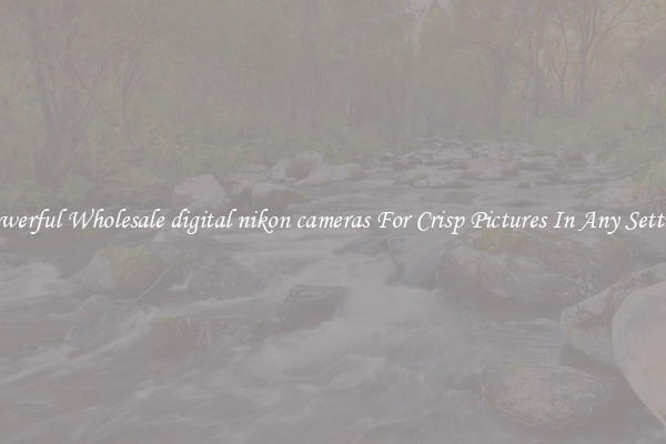 Powerful Wholesale digital nikon cameras For Crisp Pictures In Any Setting