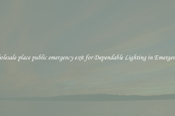 Wholesale place public emergency exit for Dependable Lighting in Emergencies