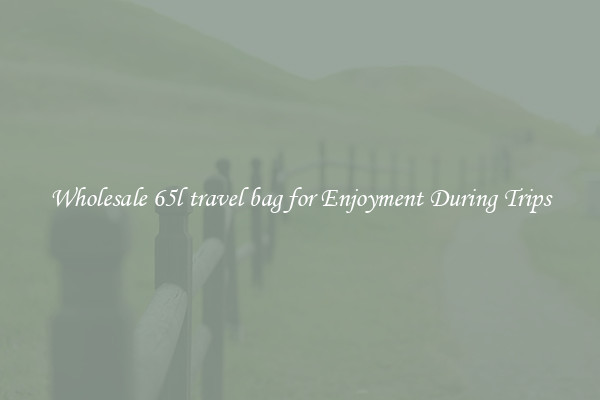 Wholesale 65l travel bag for Enjoyment During Trips