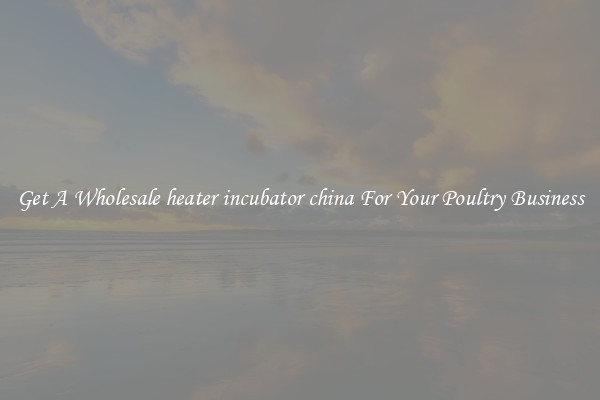 Get A Wholesale heater incubator china For Your Poultry Business