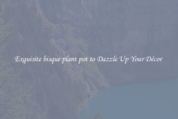 Exquisite bisque plant pot to Dazzle Up Your Décor 