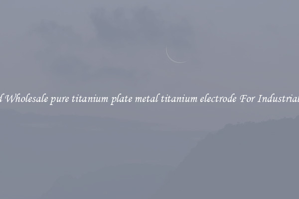 Find Wholesale pure titanium plate metal titanium electrode For Industrial Use