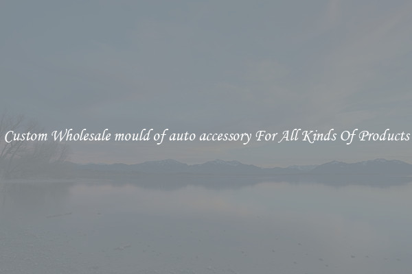 Custom Wholesale mould of auto accessory For All Kinds Of Products