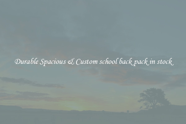 Durable Spacious & Custom school back pack in stock