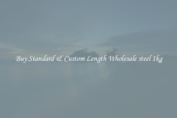 Buy Standard & Custom Length Wholesale steel 1kg