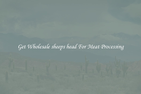 Get Wholesale sheeps head For Meat Processing