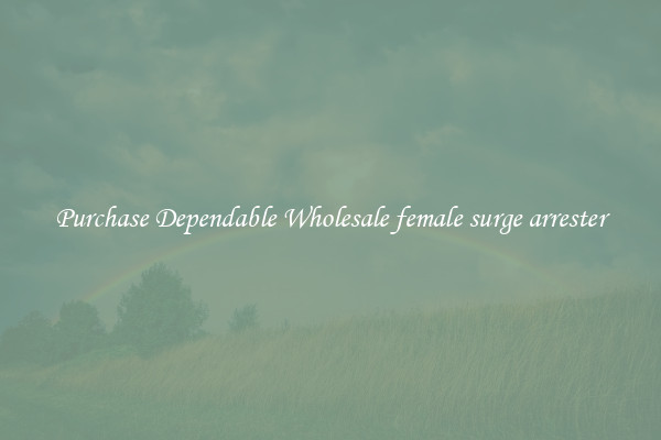 Purchase Dependable Wholesale female surge arrester