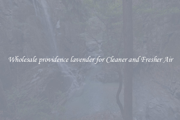 Wholesale providence lavender for Cleaner and Fresher Air