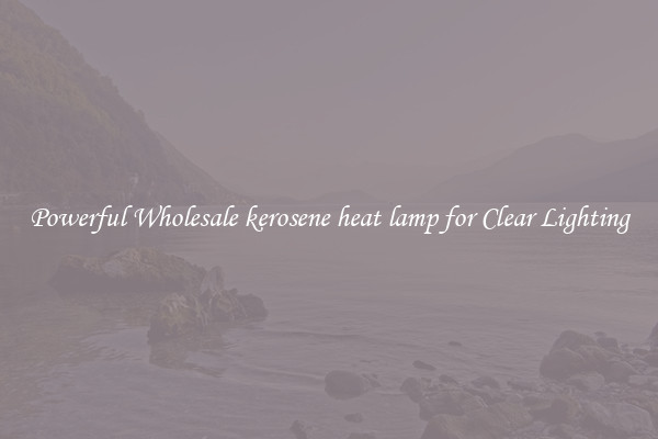 Powerful Wholesale kerosene heat lamp for Clear Lighting