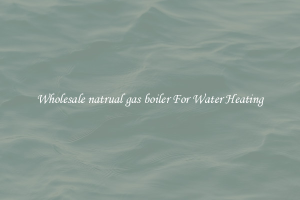 Wholesale natrual gas boiler For Water Heating