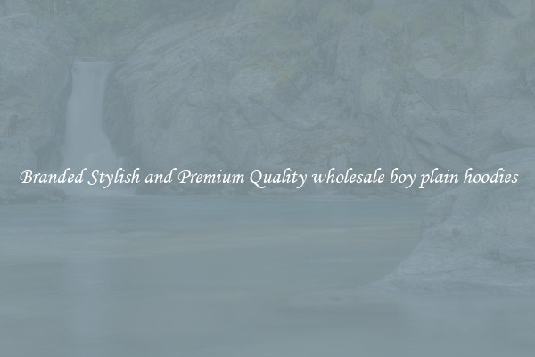 Branded Stylish and Premium Quality wholesale boy plain hoodies