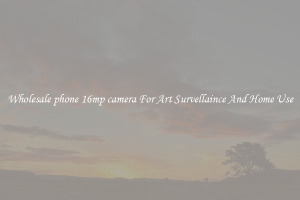 Wholesale phone 16mp camera For Art Survellaince And Home Use