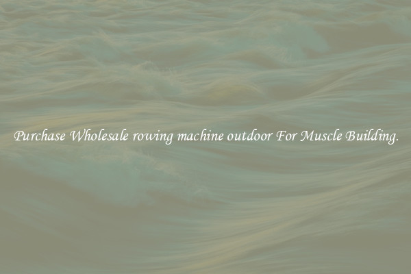 Purchase Wholesale rowing machine outdoor For Muscle Building.