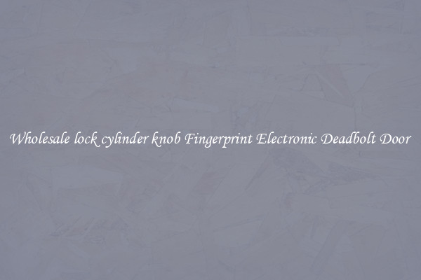 Wholesale lock cylinder knob Fingerprint Electronic Deadbolt Door 
