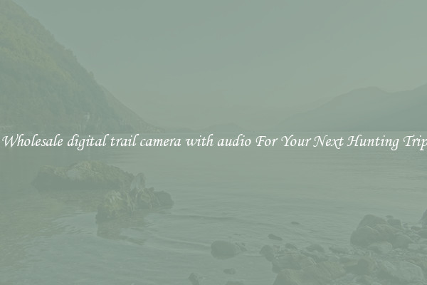 Wholesale digital trail camera with audio For Your Next Hunting Trip