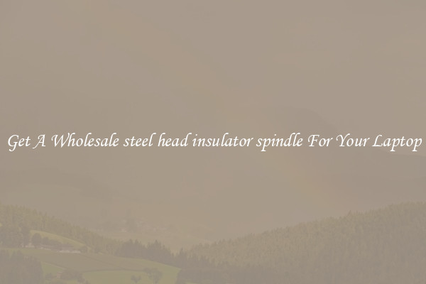Get A Wholesale steel head insulator spindle For Your Laptop