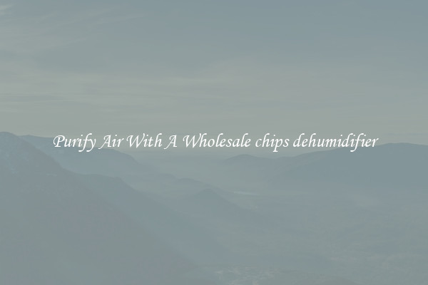 Purify Air With A Wholesale chips dehumidifier
