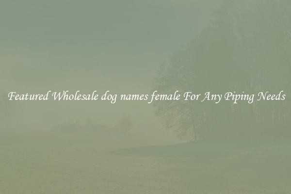 Featured Wholesale dog names female For Any Piping Needs