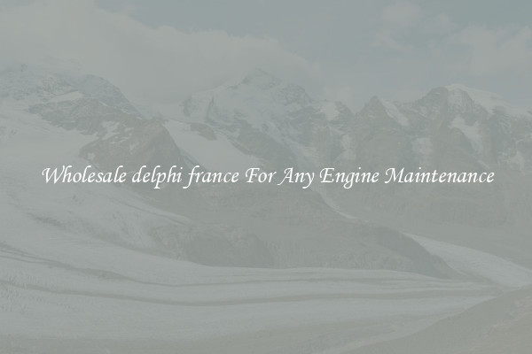 Wholesale delphi france For Any Engine Maintenance