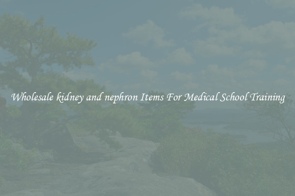 Wholesale kidney and nephron Items For Medical School Training