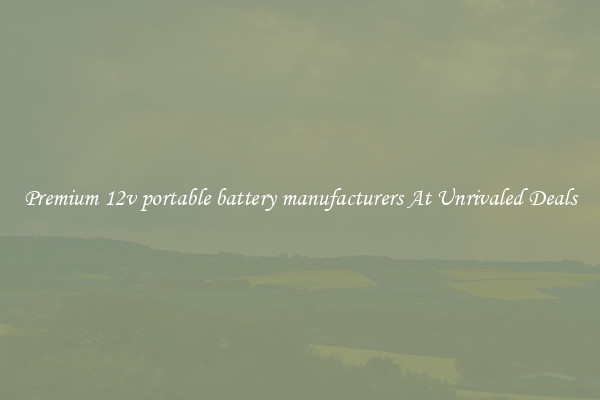 Premium 12v portable battery manufacturers At Unrivaled Deals