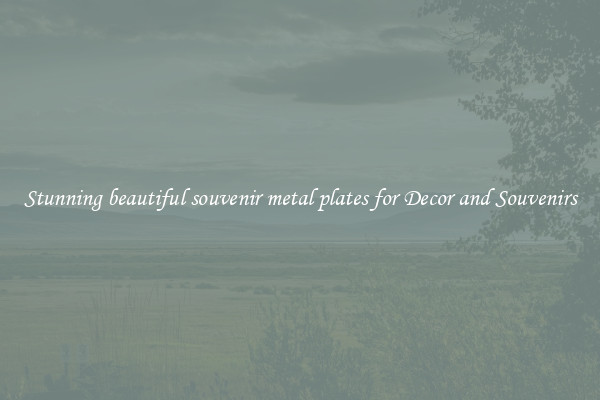 Stunning beautiful souvenir metal plates for Decor and Souvenirs